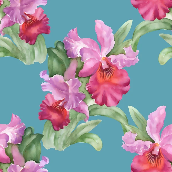 Colorful iris flowers background — Stock Photo, Image