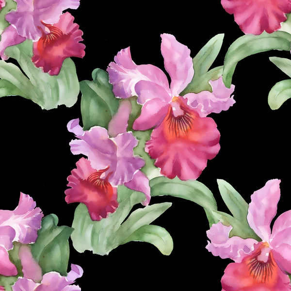 Kleurrijke iris bloemen achtergrond — Stockfoto