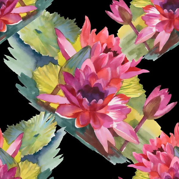 Colorful lily floral background — Stock Photo, Image