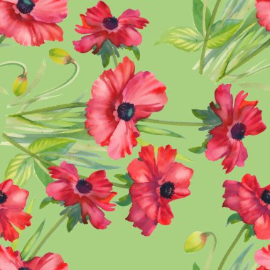 Poppies çiçek arka plan