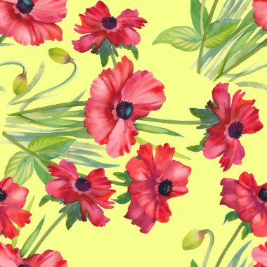 Poppies çiçek arka plan