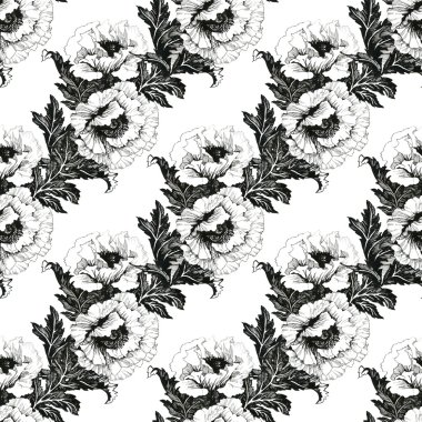 Peony çiçek arka plan