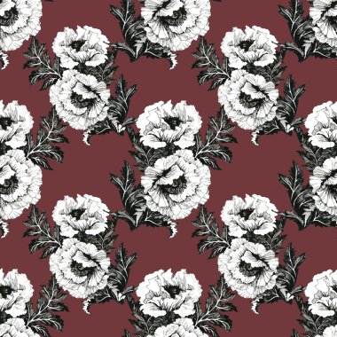 Peony çiçek arka plan