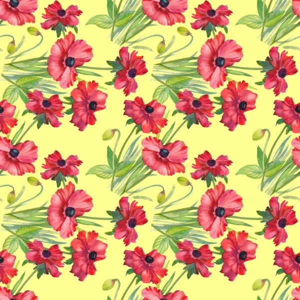 Mohn floralen Hintergrund — Stockfoto