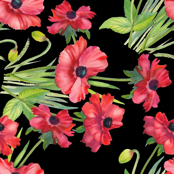 Poppies fundo floral — Fotografia de Stock