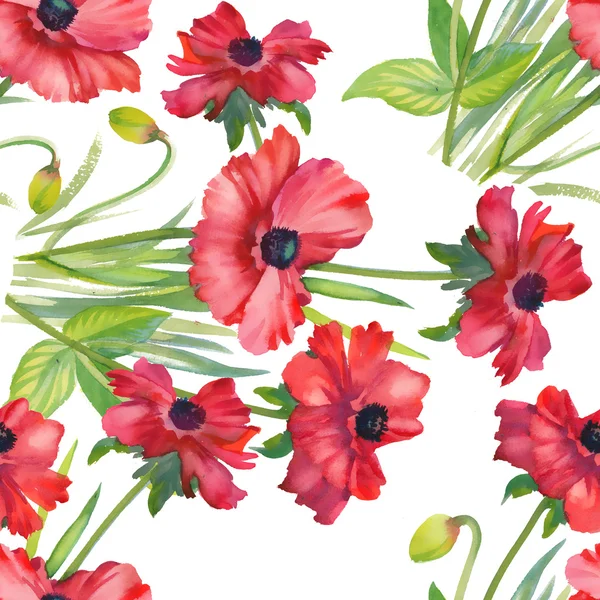 Amapolas fondo floral — Foto de Stock