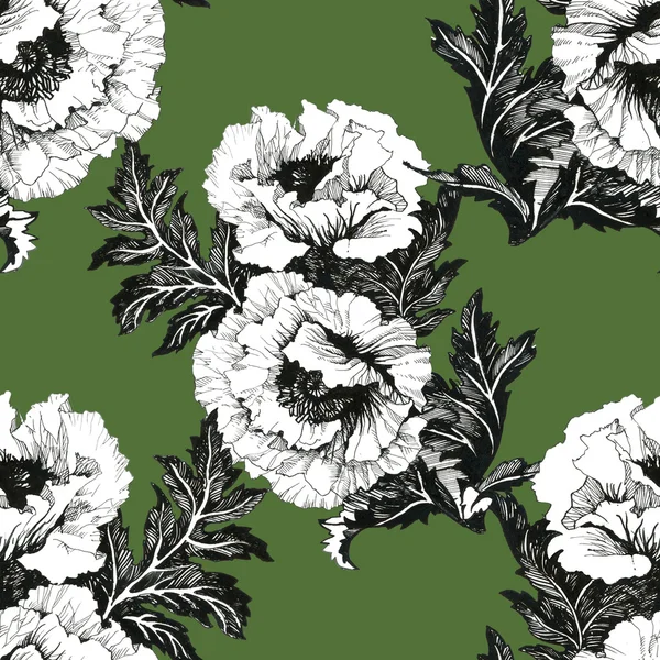 Peony floral background — Stock Photo, Image