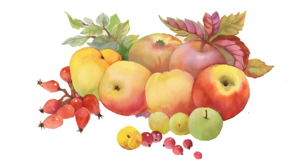 Painted autumn fruits — Stock Photo, Image