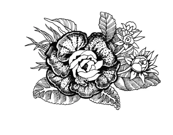 Hand Drawn flowers — Stock Photo, Image