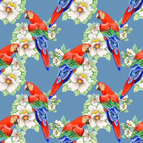 Parrots on floral pattern — Stock Photo, Image