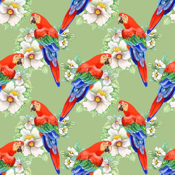 Papegojor på blommönster — Stockfoto