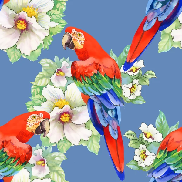 Papagaios no padrão floral — Fotografia de Stock