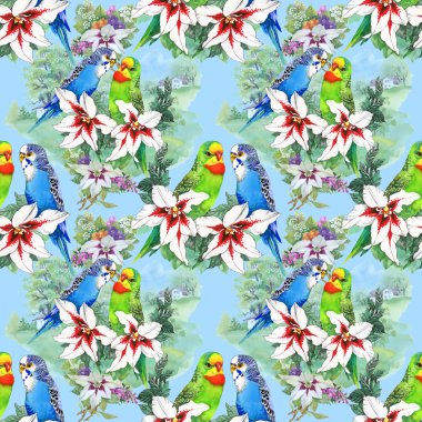 papağan ve güzel çiçekler