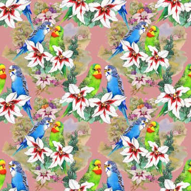 papağan ve güzel çiçekler