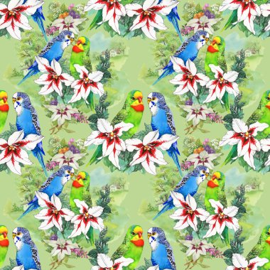 papağan ve güzel çiçekler