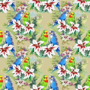 papağan ve güzel çiçekler