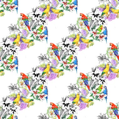 papağan ve güzel çiçekler