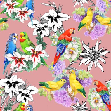 papağan ve güzel çiçekler