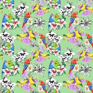 papağan ve güzel çiçekler