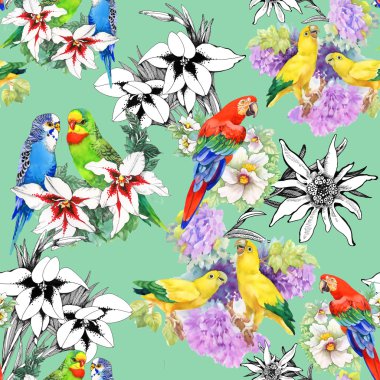 papağan ve güzel çiçekler