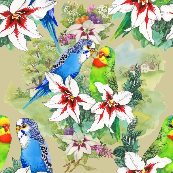 Папуги і красиві квіти — стокове фото