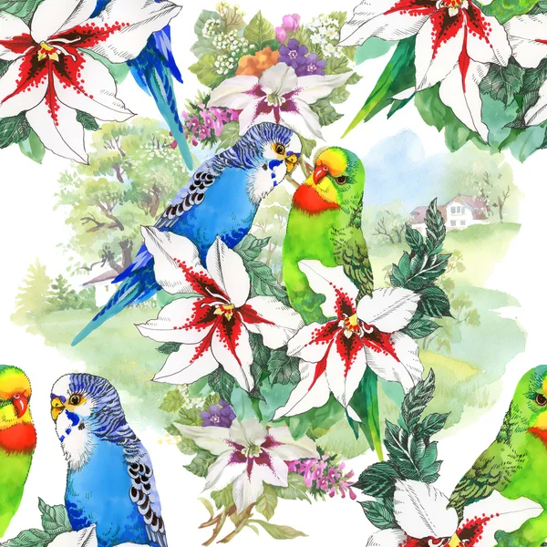 Parrots and beautiful flowers — Stock Photo, Image