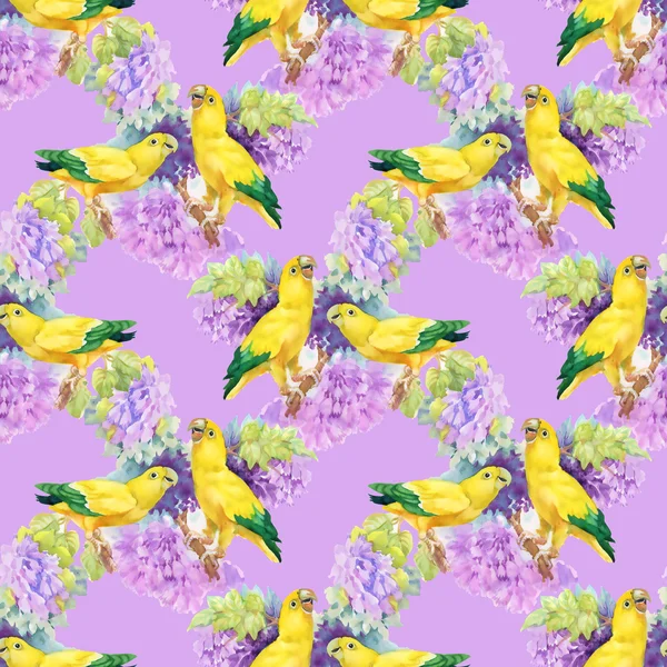 앵무새와 아름 다운 꽃 — 스톡 사진