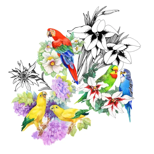 Papagájok, és gyönyörű virágok — Stock Fotó