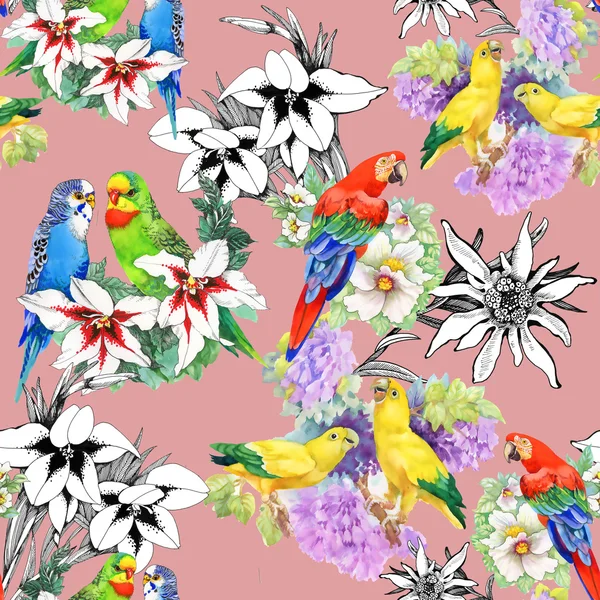Papagali și flori frumoase — Fotografie, imagine de stoc