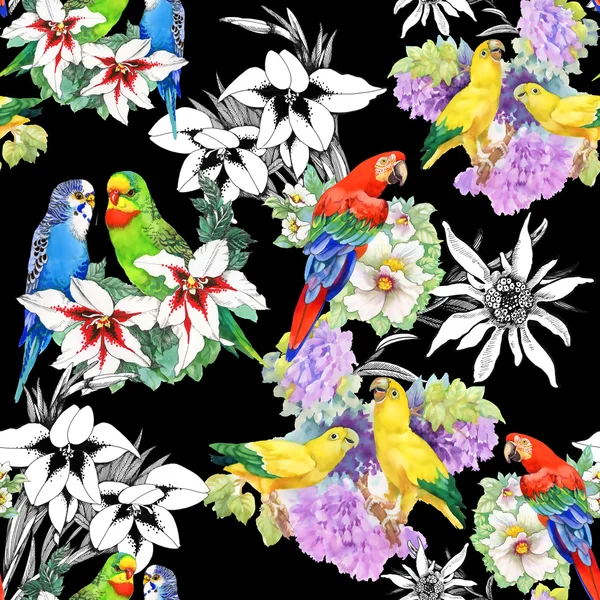 Parrots and beautiful flowers — Stock Photo, Image