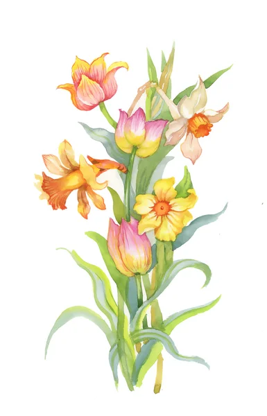 Bouquet di narcisi e tulipani — Foto Stock