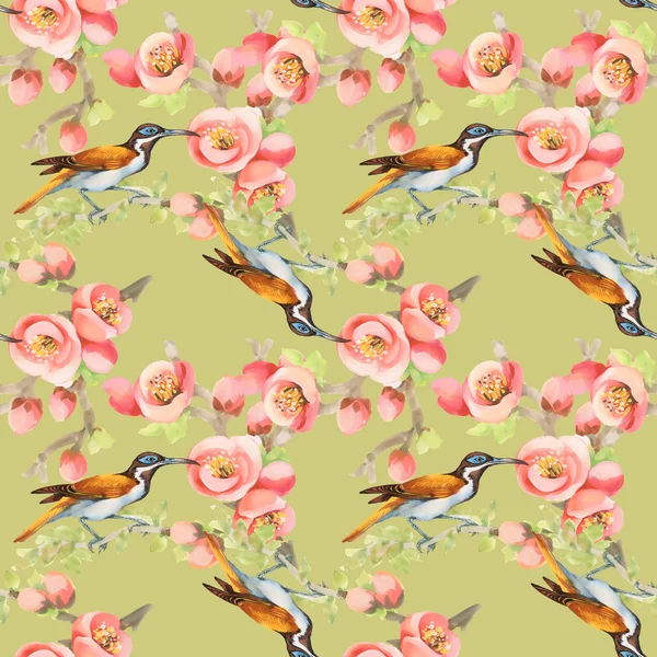 Sömlöst mönster med fåglar och blommor — Stockfoto