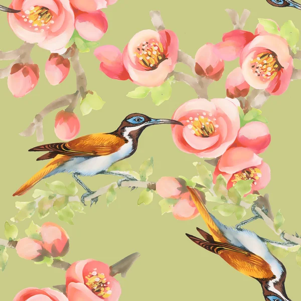 Motif sans couture avec des oiseaux et des fleurs — Photo