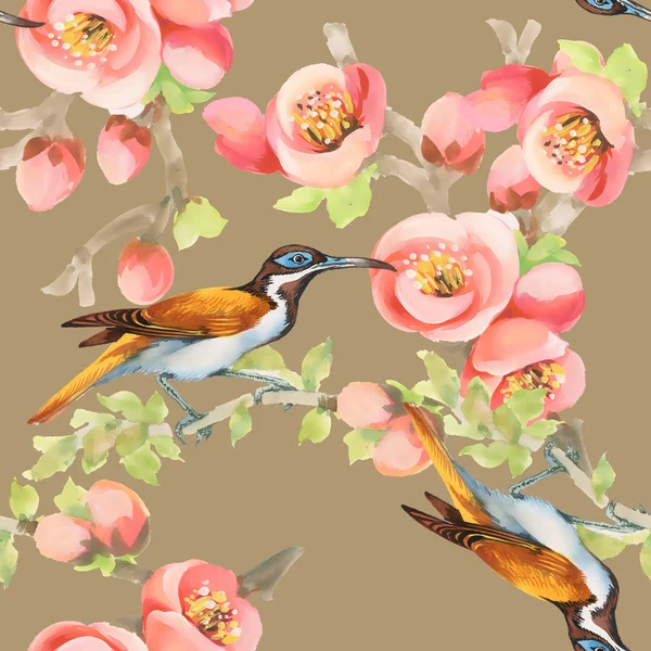 Motif sans couture avec des oiseaux et des fleurs — Photo