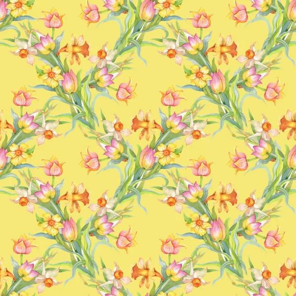 Χωρίς ραφή πρότυπο με πολύχρωμες τουλίπες και daffodils — Φωτογραφία Αρχείου
