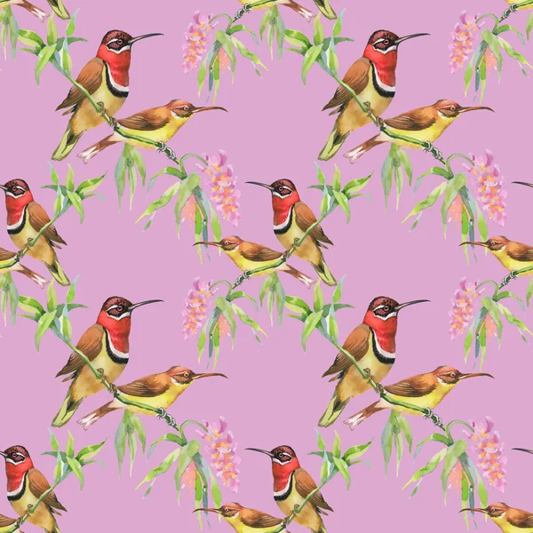 Seamless pattern with birds and flowers — Stock Photo, Image