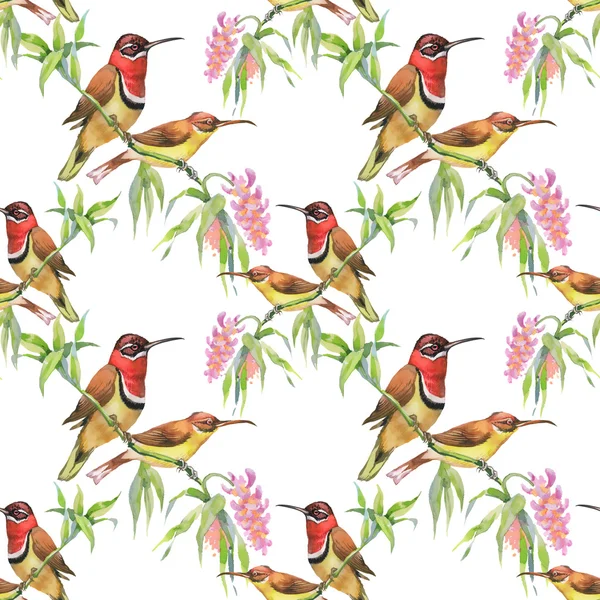 Seamless pattern with birds and flowers — Stock Photo, Image