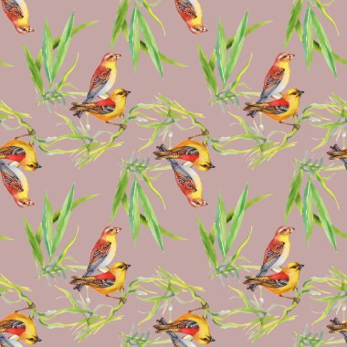 Desen yabani egzotik kuşlar dalı ile