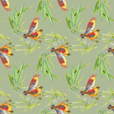 Desen yabani egzotik kuşlar dalı ile