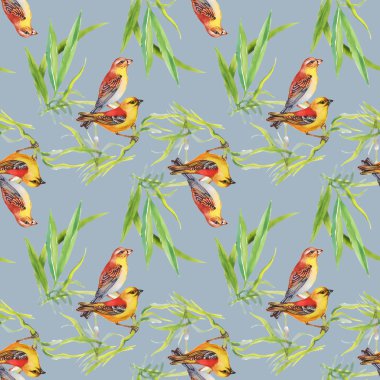 Desen yabani egzotik kuşlar dalı ile