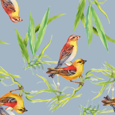 Desen yabani egzotik kuşlar dalı ile
