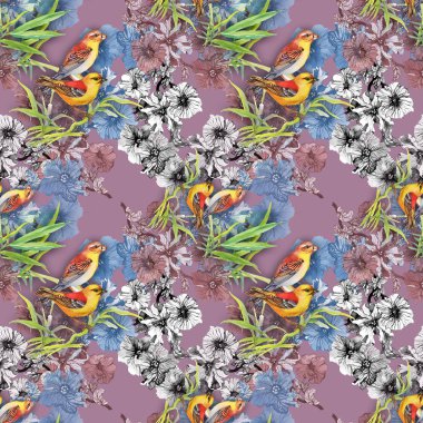 Desen yabani egzotik kuşlar ve çiçekler