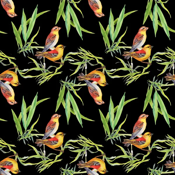 Pattern with wild exotic birds on the branch — Stock Photo, Image