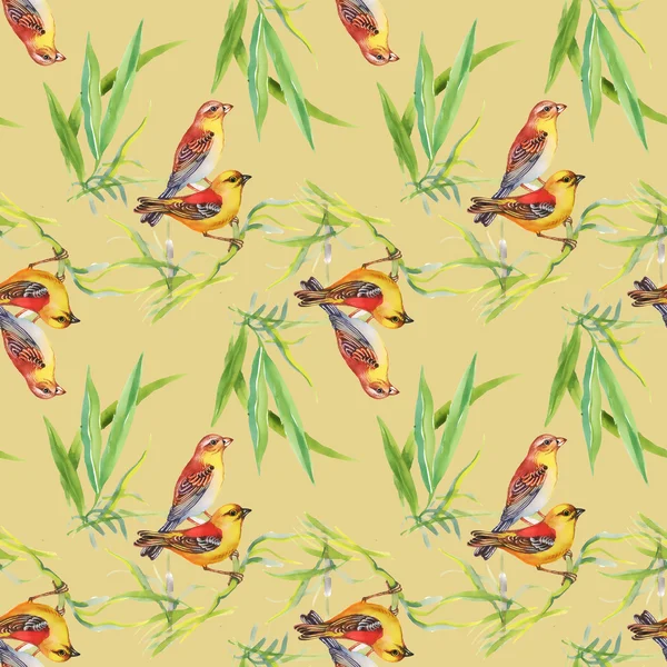 Muster mit wilden exotischen Vögeln am Ast — Stockfoto