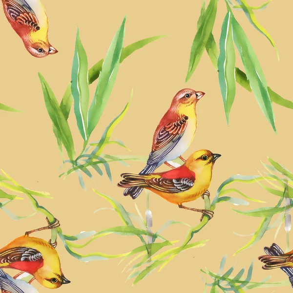 Patroon met wilde exotische vogels op de tak — Stockfoto