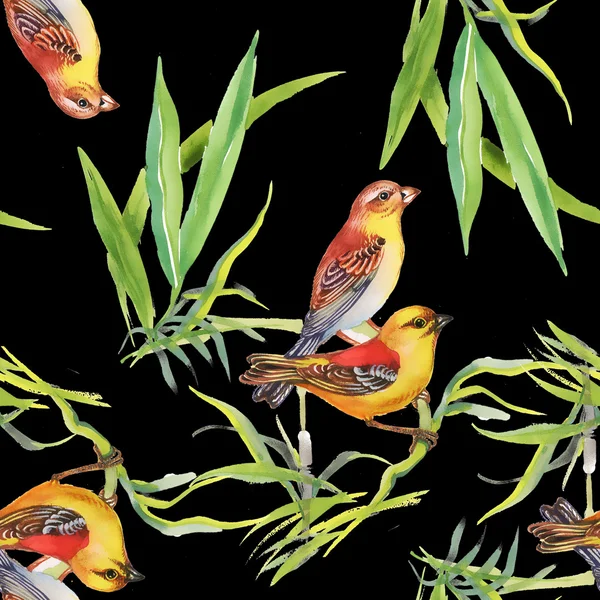 Pattern with wild exotic birds on the branch — Stock Photo, Image