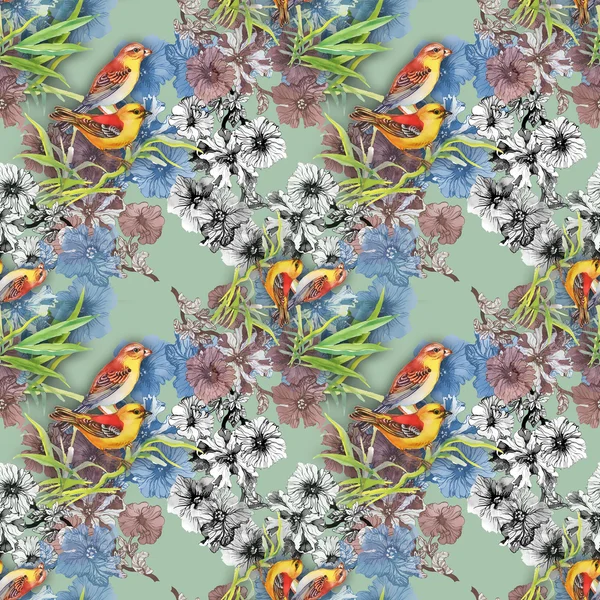 Pattern with wild exotic birds and flowers — Stock Photo, Image