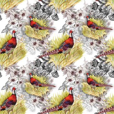 Sülün hayvanlar arka plan