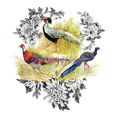 Pheasant animals background clipart