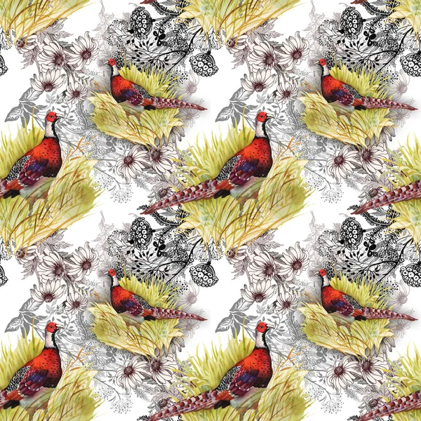 Pheasant animals background — Stock Photo, Image